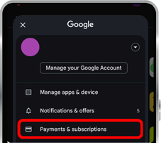 Payment Subscription.png